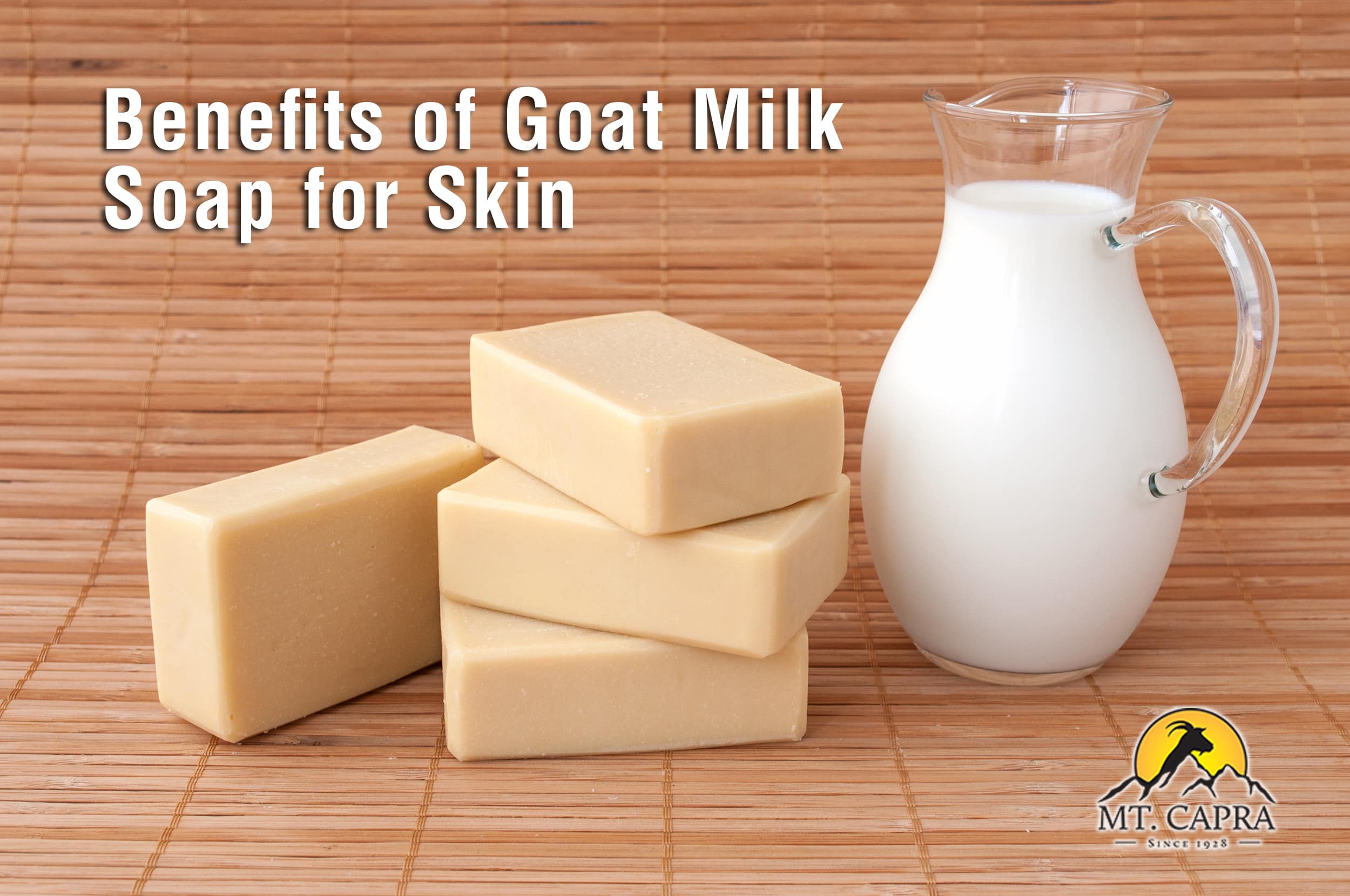 GOAT MILK SOAP – BECAUSE GOAT MILK ISN’T ONLY FOR DRINKING!